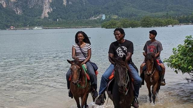 Krabi Horse Riding Tour