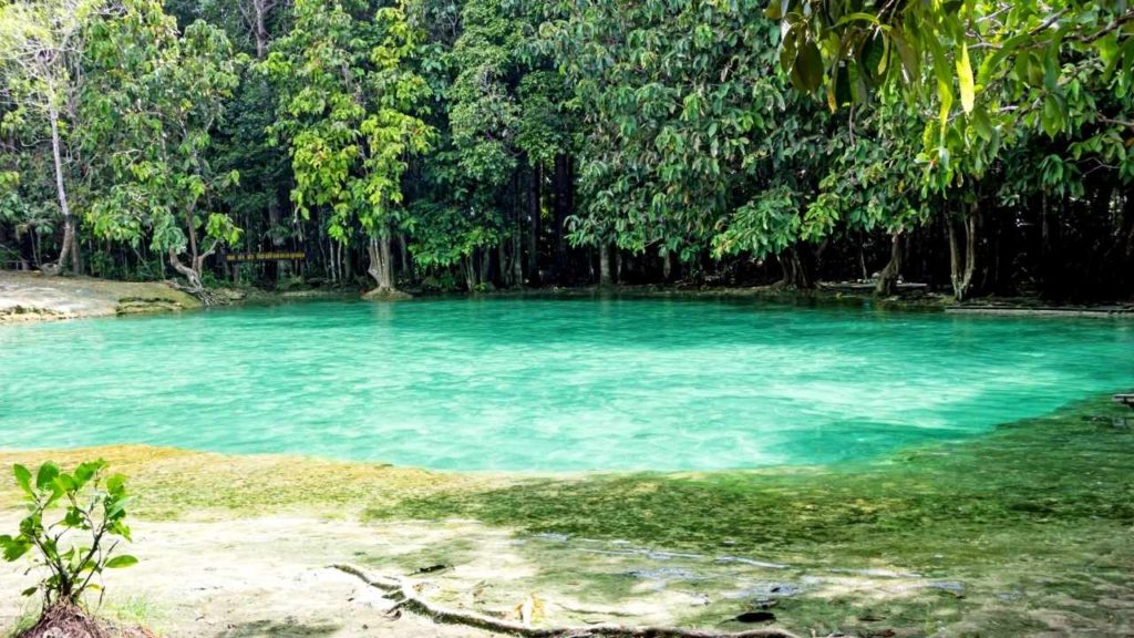Things to do in Krabi - Emerald Pool
