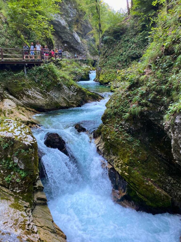 The cascades of Vintgar Gorge - Things to do in Bled