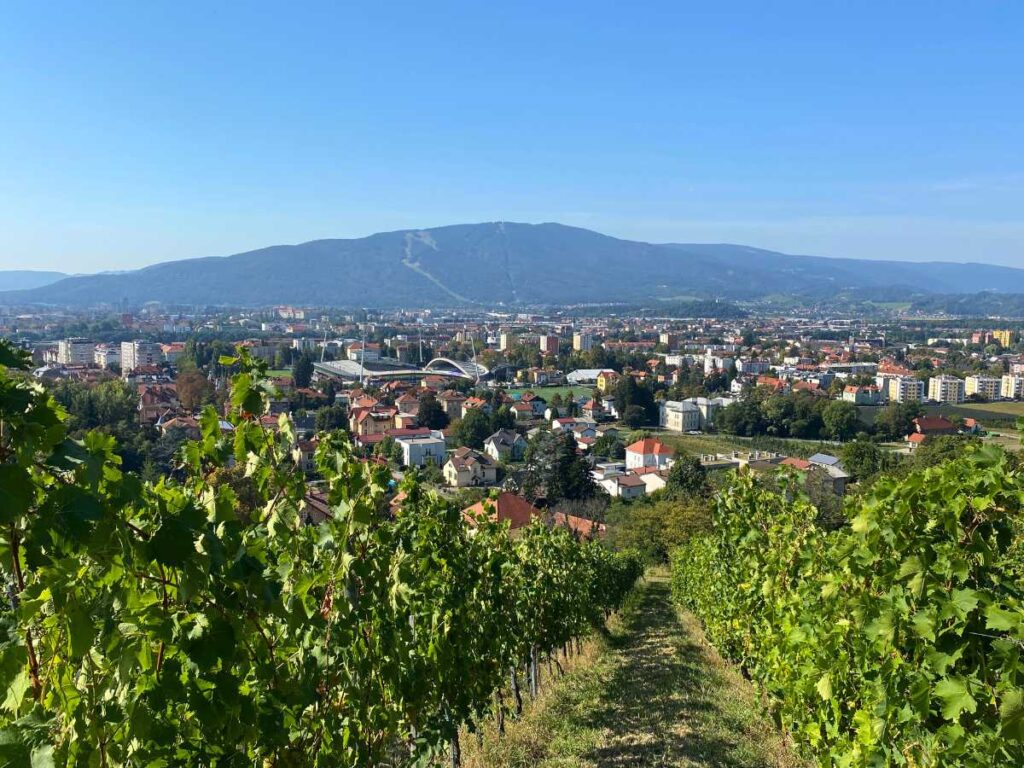 City Top Hill Viewpoint - Things to do in Maribor
