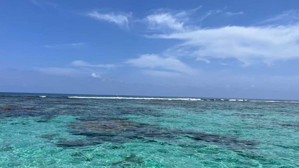 Snorkeling trip to Mexico Rocks and Tres Cocos with the Belize Barrier Reef in the background.