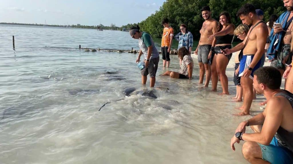 Feeding stingrays at the Iguana Reef Inn. Lots of spectators.