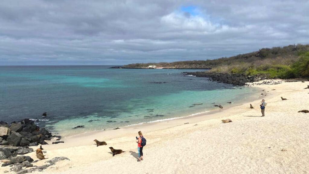 Playa Mann - San Cristobal Island - The Galapagos Island Travel Guide