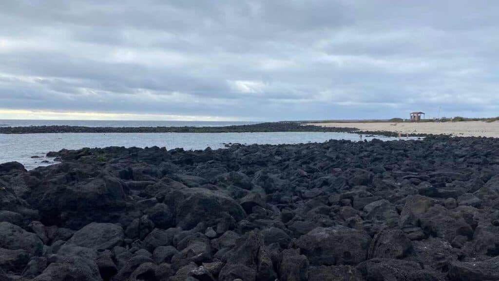 La Loberia Beach on San Cristobal Island - The Galapagos Island Travel Guide