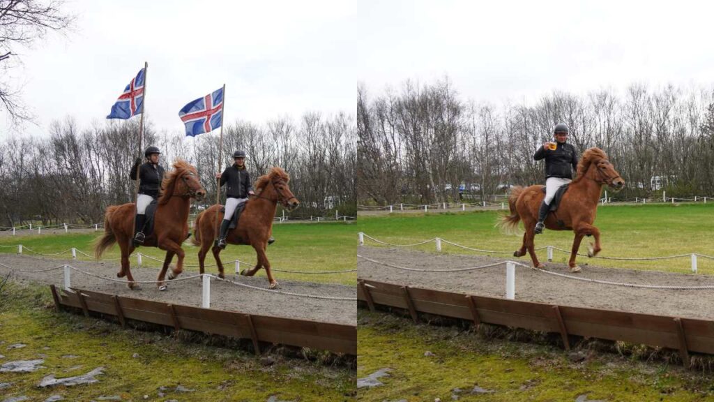 Icelandic horse show at Fridheimar Farm