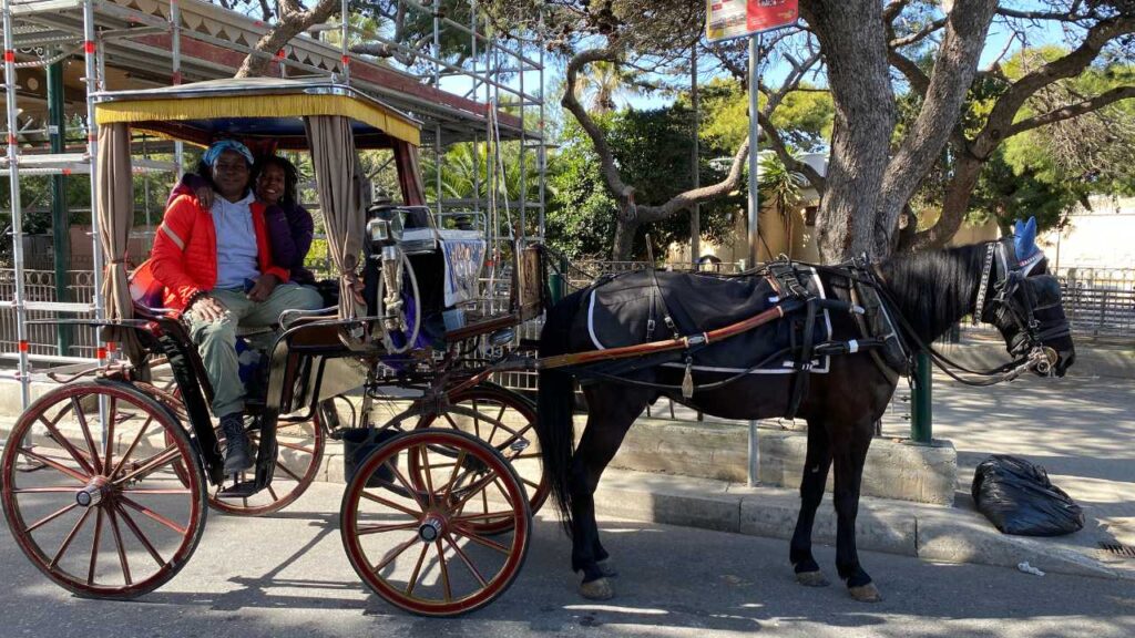 Mdina Malta Horse Carriage Ride 