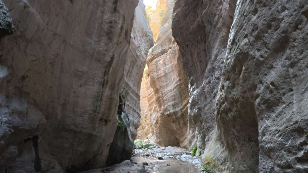 Avakas Gorge - Things to Do in Paphos